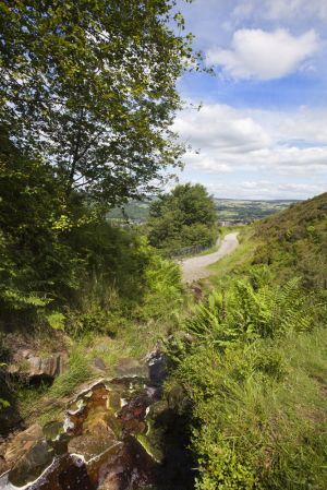 c17-ilkley moor waterfall 3 sm.jpg